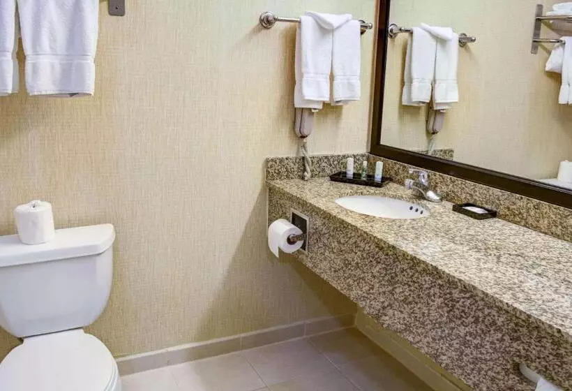 سوئیت خانواده 2 خوابه, Tilt Hotel Universal Hollywood, Ascend Hotel Collection