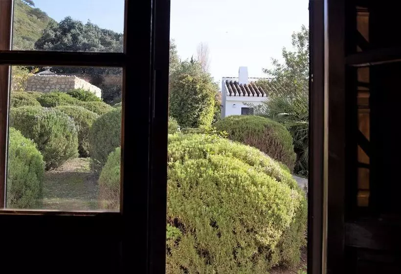 اتاق استاندارد, Fuente Del Sol