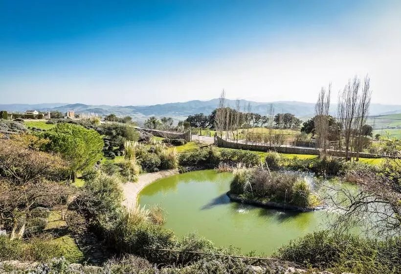 اتاق اکونومی, Fuente Del Sol