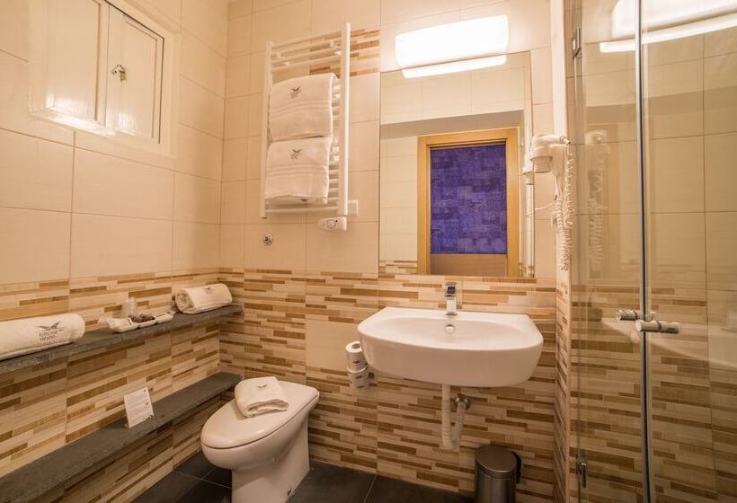 اتاق اکونومی, Airone