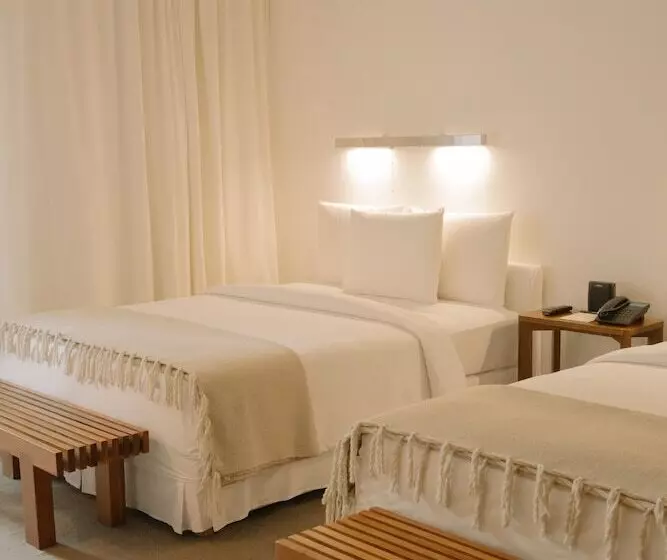 ２ダブルベッドのスタンダードルーム, Condesa Df, Mexico City, A Member Of Design Hotels
