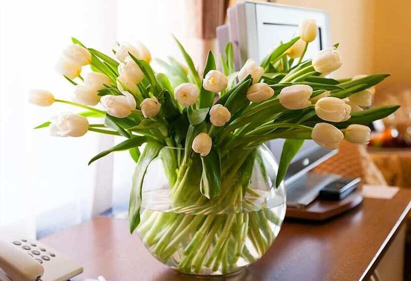 استودیوی استاندارد, Maxima Irbis