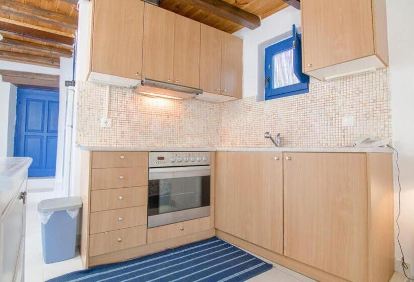 غرفة قياسية, Paros