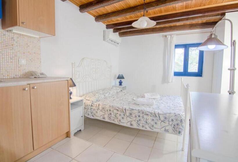 غرفة قياسية, Paros