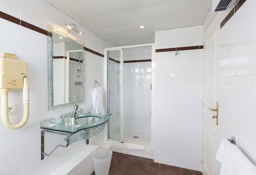 スタンダードシングルルーム, Viator   Gare De Lyon