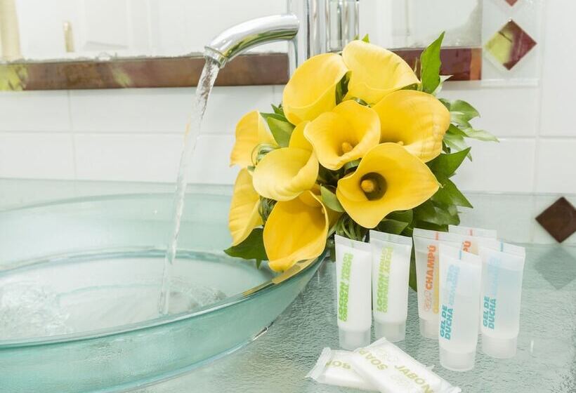 スタンダードルーム, Viator   Gare De Lyon