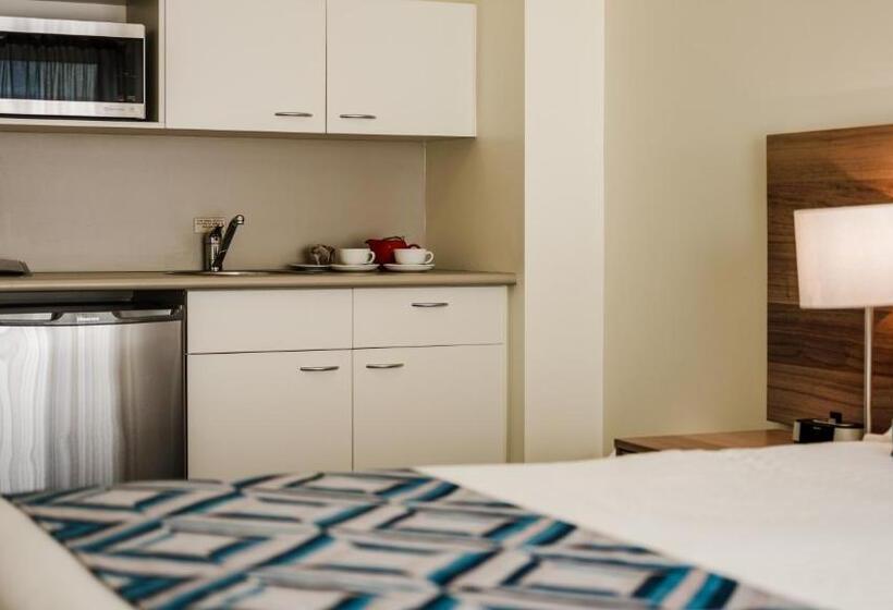 スタンダードスタジオ, Salamanca Terraces