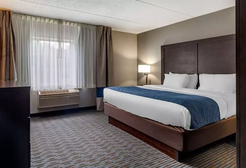 身障者適用スイートルーム, Comfort Inn