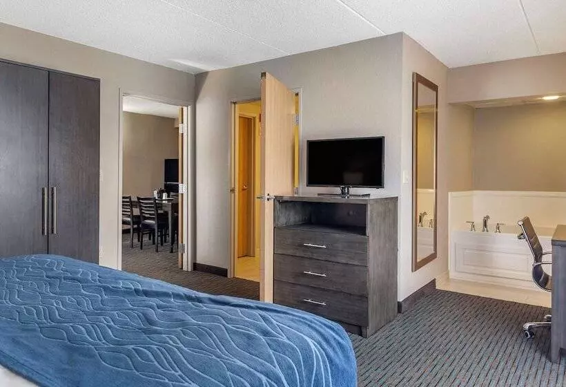 身障者適用スイートルーム, Comfort Inn