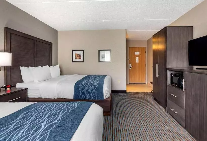 スタンダードルーム, Comfort Inn