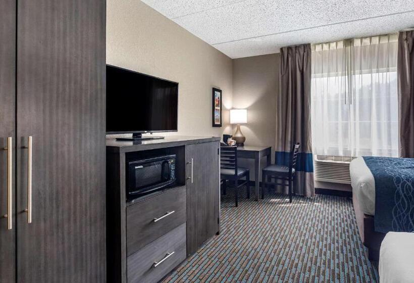Номер Стандарт, Comfort Inn
