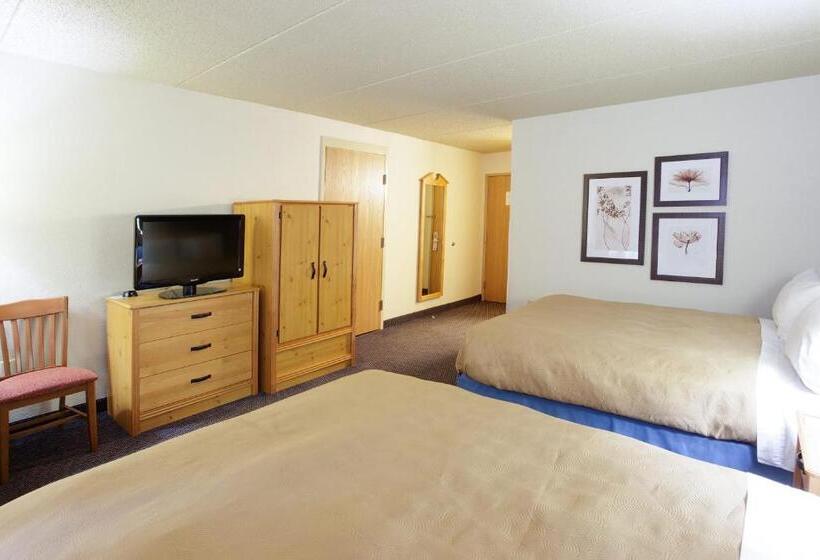 اتاق استاندارد, Comfort Inn