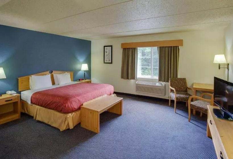 キングサイズベッドのスタンダードルーム, Comfort Inn