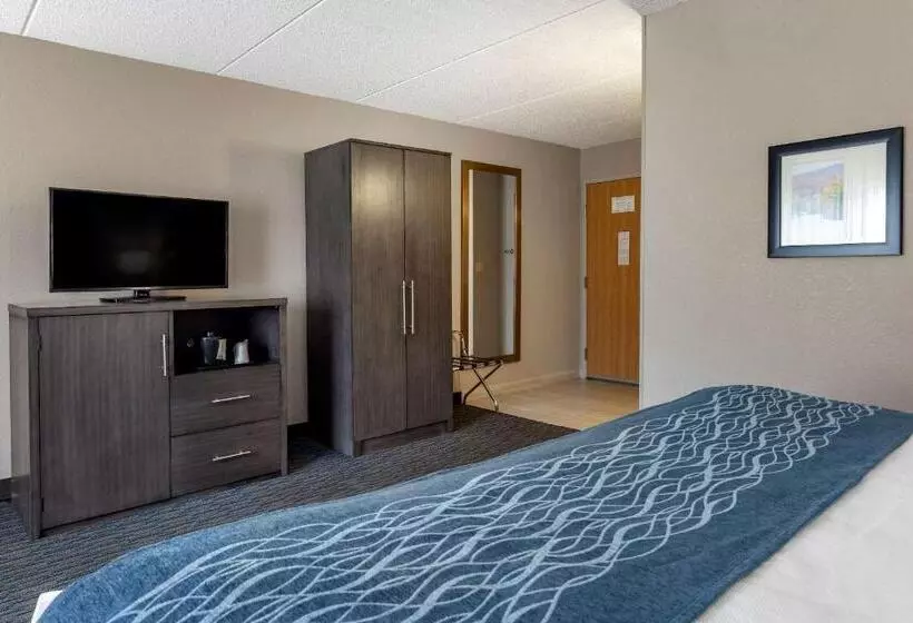 身障者適用キングサイズベッドルーム, Comfort Inn