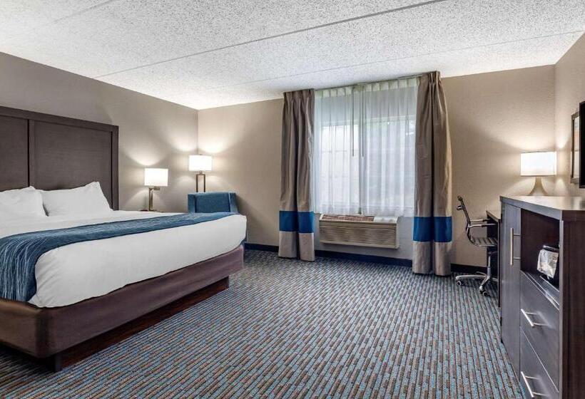 Номер Стандарт Кровать Кинг Адаптированный для Инвалидов, Comfort Inn