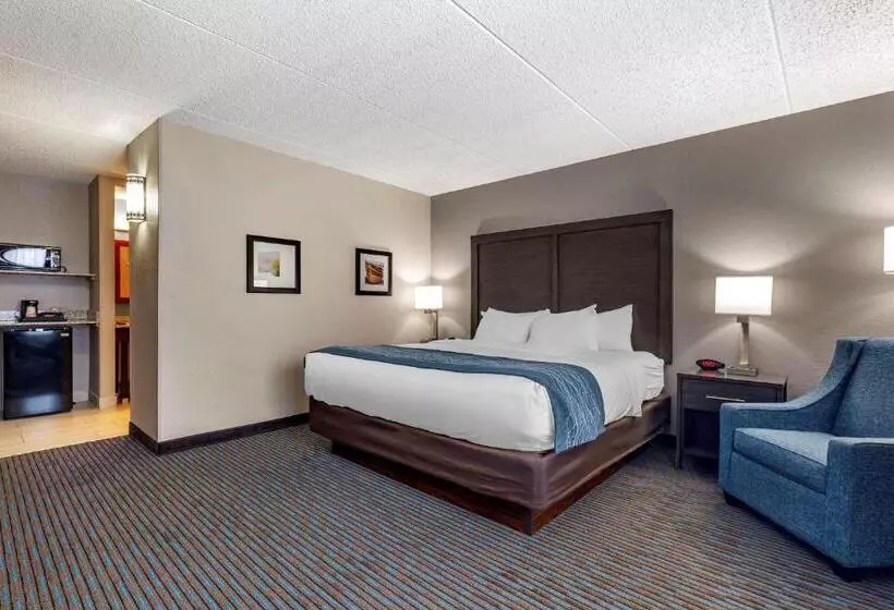 身障者適用キングサイズベッドルーム, Comfort Inn