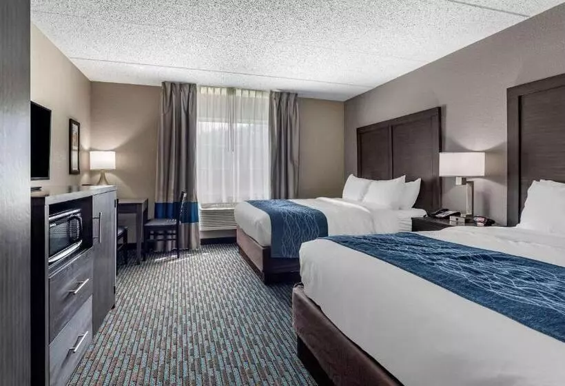 身障者適用スタンダードルーム, Comfort Inn