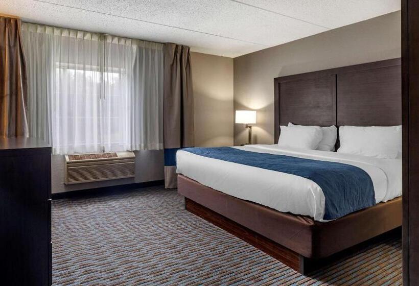 سوئیت برای معلولان, Comfort Inn