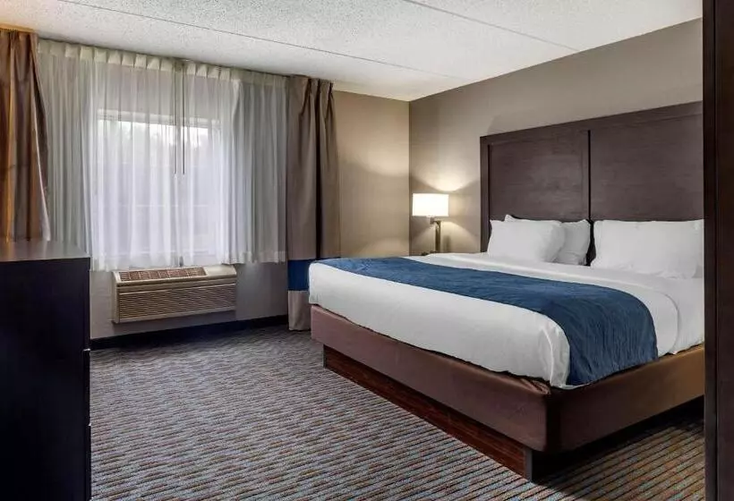 身障者適用スイートルーム, Comfort Inn