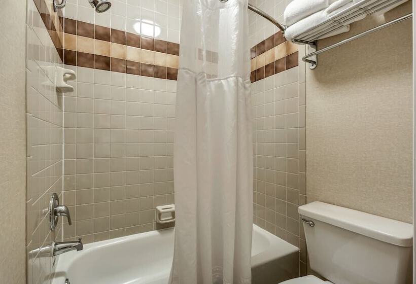 Номер Стандарт 2 Двуспальные Кровати, Radisson Hotel Salt Lake City Airport