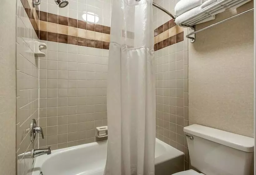 اتاق استاندارد با 2 تخت دوبل, Radisson Hotel Salt Lake City Airport
