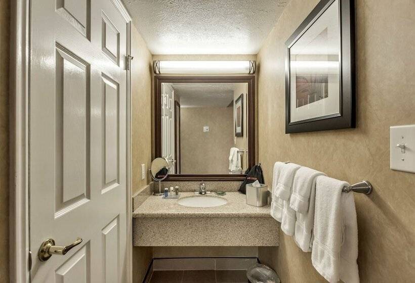 חדר סטנדרט שתי מיטות זוגיות, Radisson Hotel Salt Lake City Airport