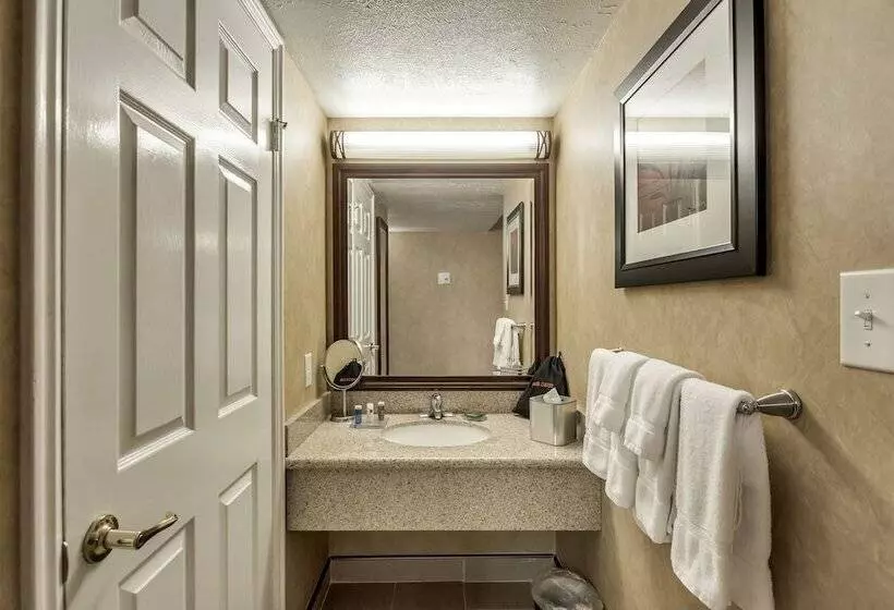 اتاق استاندارد با 2 تخت دوبل, Radisson Hotel Salt Lake City Airport