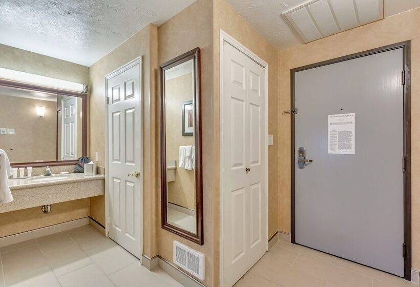 غرفه قياسيه سريرين مزدوجين, Radisson Hotel Salt Lake City Airport