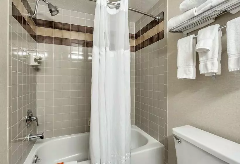 اتاق استاندارد با 2 تخت دوبل, Radisson Hotel Salt Lake City Airport