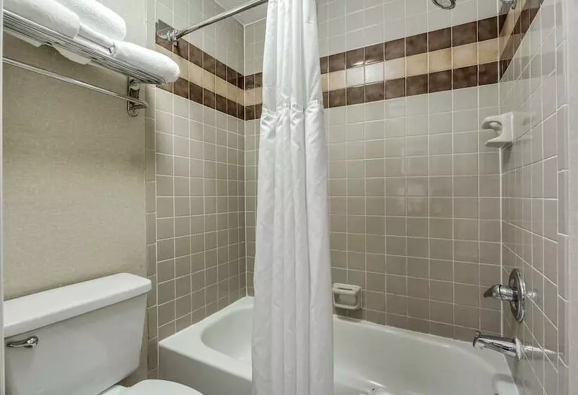 اتاق پریمیوم با بالکن, Radisson Hotel Salt Lake City Airport