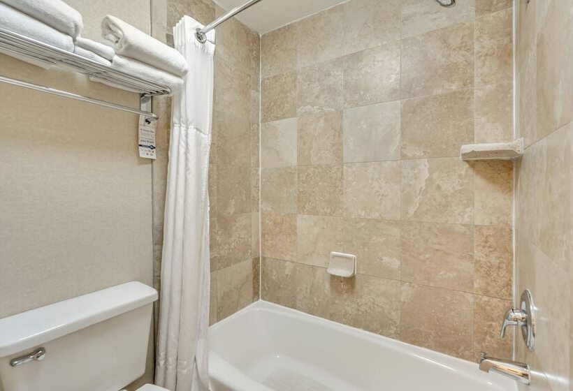 חדר פרמיום עם מרפסת, Radisson Hotel Salt Lake City Airport