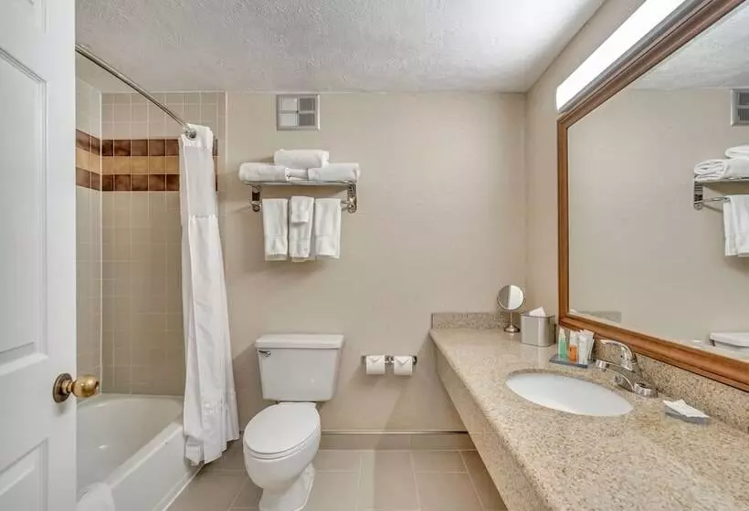 اتاق پرمیوم, Radisson Hotel Salt Lake City Airport