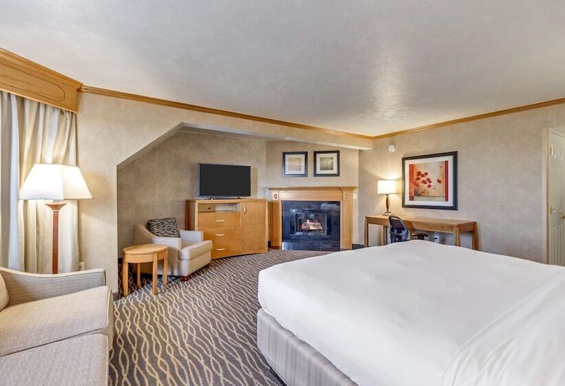 غرفة بريميوم, Radisson Hotel Salt Lake City Airport