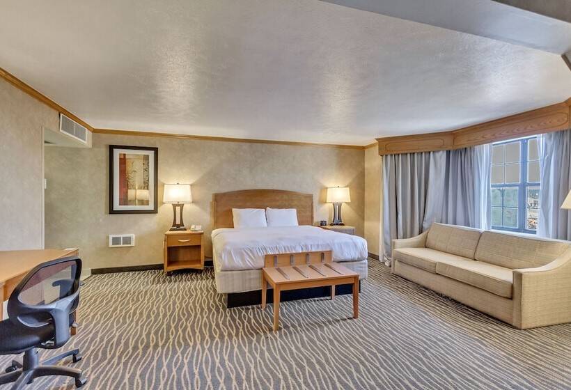 غرفة بريميوم, Radisson Hotel Salt Lake City Airport