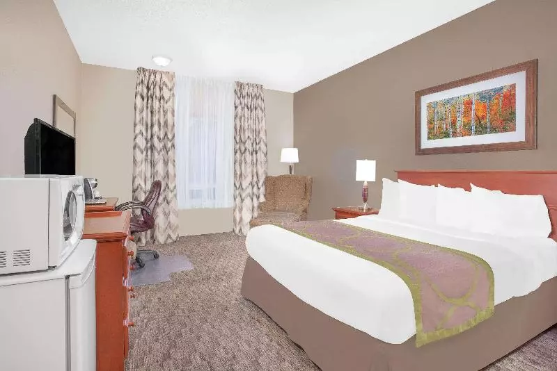 سوئیت با تخت بزرگ, Radisson Hotel Salt Lake City Airport
