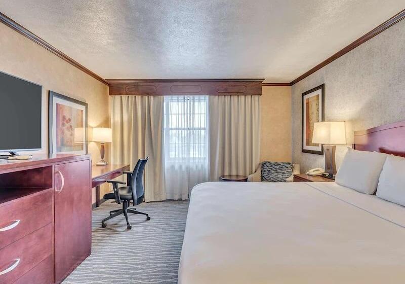 غرفة قياسية سرير كينج, Radisson Hotel Salt Lake City Airport