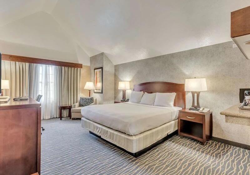 غرفة قياسية سرير كينج, Radisson Hotel Salt Lake City Airport