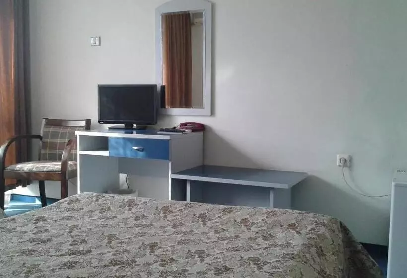 اتاق استاندارد, Rodopi