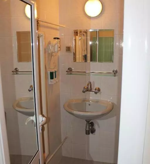 اتاق استاندارد یک نفره, Rodopi