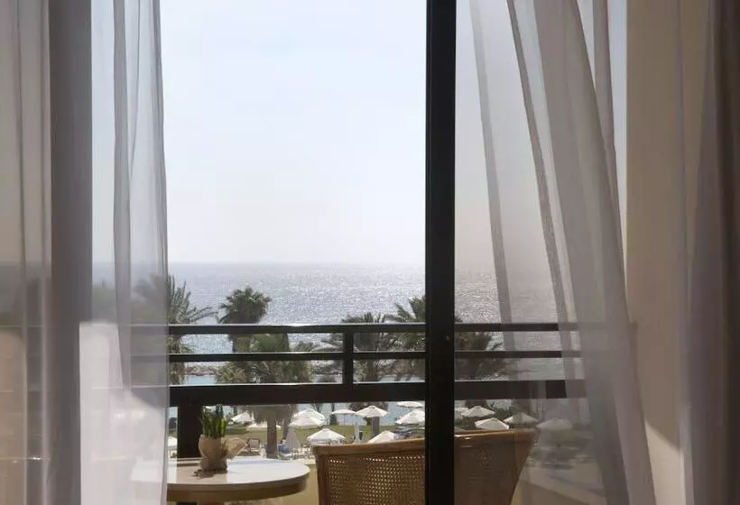 Superior Zimmer mit Meerblick, Venus Beach