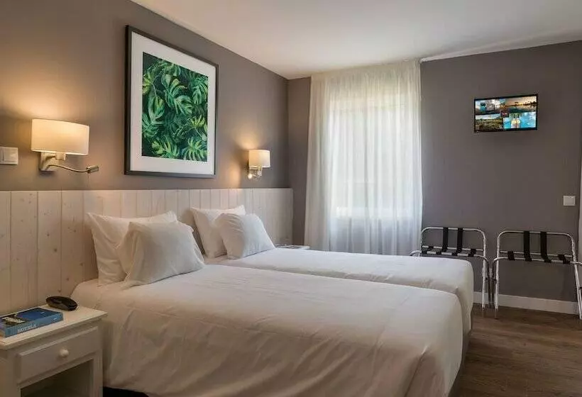اتاق عادی یک تخته, Ap Adriana Beach Resort