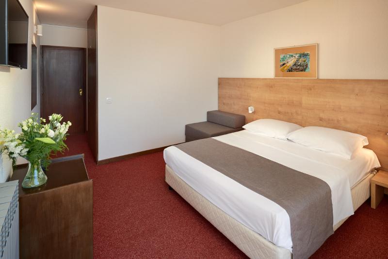 غرفة قياسية مطلة على المتنزه, Arkada