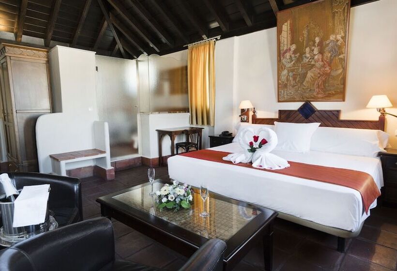 اتاق سوپریور, Casa Palacio Pilar Del Toro