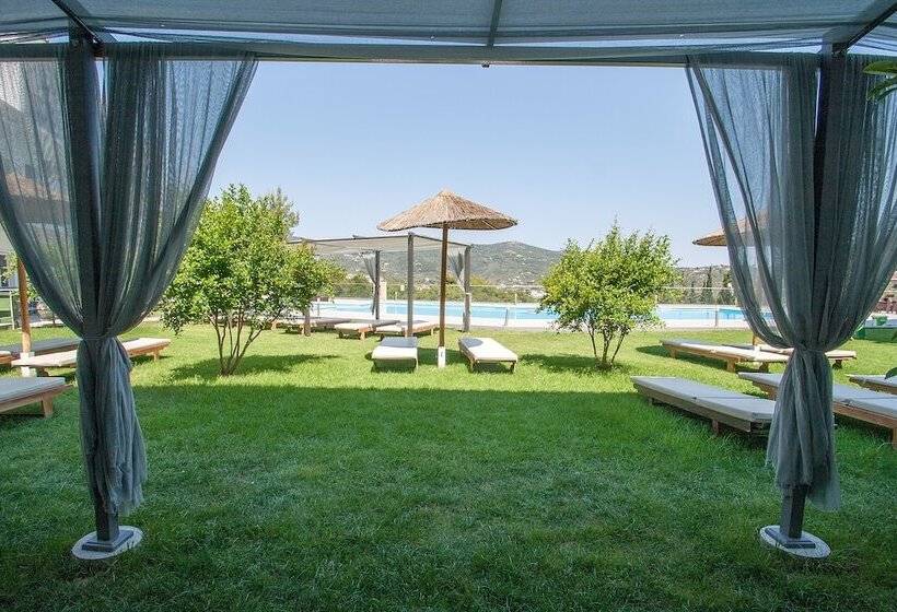 スタンダードトリプルルーム, Punta