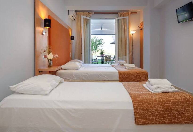 スタンダードトリプルルーム, Punta