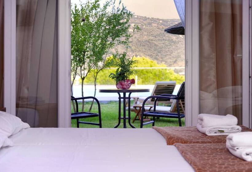 スタンダード4人部屋, Punta