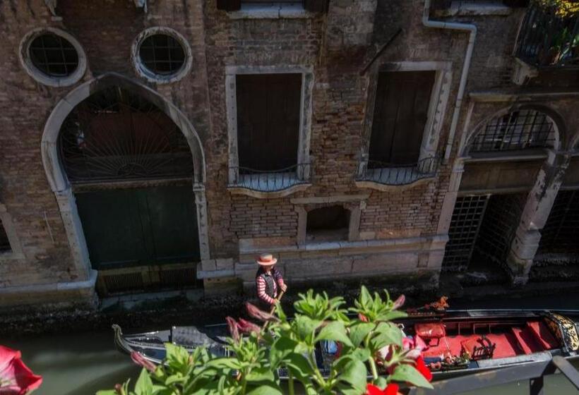 سوییت جونیور, Becher