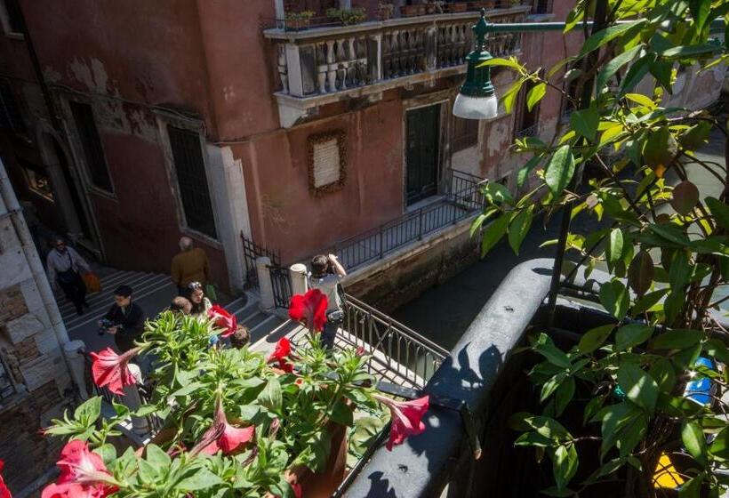 Classic Room with Views, Becher