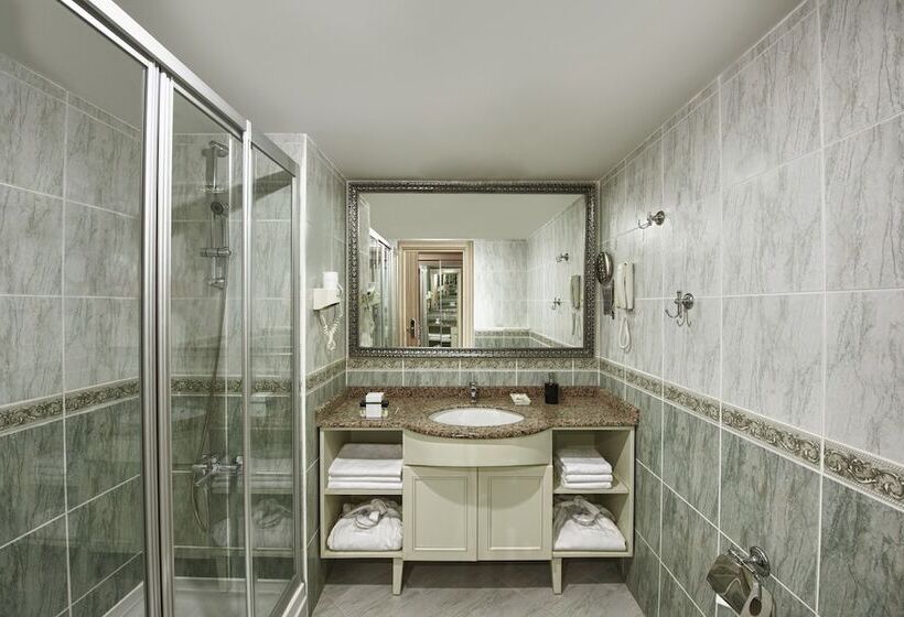 اتاق اساندارد با چشم‌انداز جانبی به دریا, Delphin Deluxe Resort