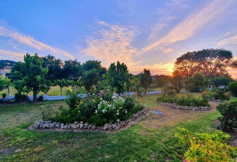 ガーデンビューデラックスルーム, Erofili